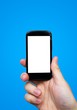 Hand holding mobile phone. Smartphone with blank display