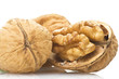 Walnut close up on the white  background