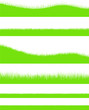 vector meadow grass