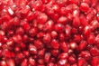 Pomegranate Seeds Close-up Pomegranate Seeds Close-up