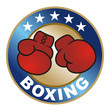 Vektor: Boxing Medal Boxing Medal