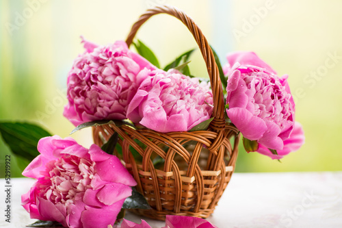 Photo: peonies peonies