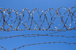 Barbed wire on blue sky background