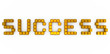 success