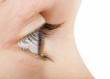 Human eye in profile