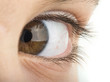 Human eye brown color