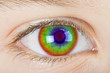 Human eye