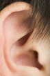 Human ear