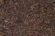 Black jasmine rice (Rice berry) ,food background