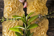 Photo: Plate Of Pasta Plate Of Pasta