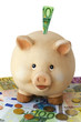 Freundliches lachendes Sparschwein mit Eurogeld