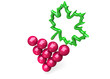 GRAPES - 3D