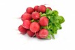 Photo: Radishes Radishes