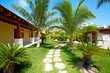 Foto: Beautiful tropical garden. Beautiful tropical garden.