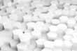 Hex Forest Background