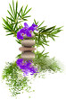 Foto: orchidée sur galets et bambou orchidée sur galets et bambou