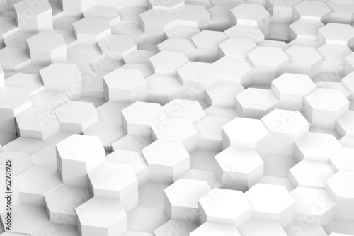 Illustration: Hex Forest Background Hex Forest Background