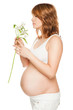 pregnant flower profile abdomen