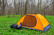 touristic camp in a forest