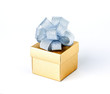 golden gift box on white background