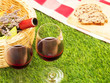 Picnic with Wine