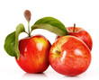 Mele Rosse
