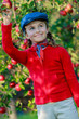 Young girl picking organic Apples into the Basket.Orchard.