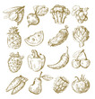 hand draw fruit and vegetable