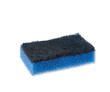 Sponge on white