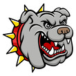 Bulldog head