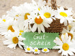 canvas print picture - Margariten mit Schild "Gutschein"