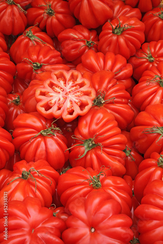 Photo: tomates cœur de bœuf tomates cœur de bœuf