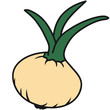 Onion