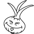 Funny Onion