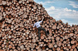 Foto: Challenge- businessman climbing the large pile of logs Challenge- businessman climbing the large pile of logs