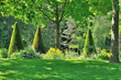 parc verdoyant