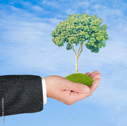 Photo: tree in hand tree in hand