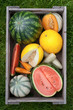 Fresh melons