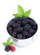 Blackberries in a bucket