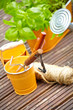 concept of gardening and hobby