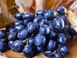 Foto: ripe blue grape ripe blue grape