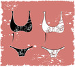 illustration of the  beautiful  lingerie