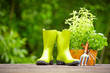 concept of gardening and hobby