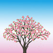 Beautiful spring background with sakura - japanese cherry tree