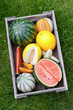 Frische Melonen