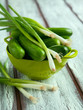 Fresh cucumbers and green onions