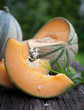Cantaloupe Melonen