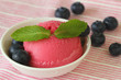 Forest fruit sorbet with fresh blueberries, close up