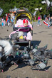Photo: Child girl playing with doves in the city street Child girl playing with doves in the city street