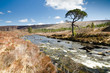 A Ghairbhe river flows towards Kinlochewe